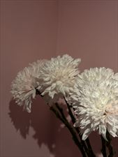 bukiety na wesele, Fine Flower Amina Zhumaniiazova, Warszawa