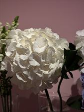 kwiaty na pogrzeb, Fine Flower Amina Zhumaniiazova, Warszawa
