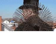 Usługi kominiarskie Wojciech Tyburski