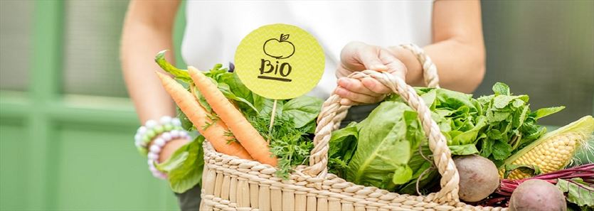 Codziennie świeża żywność, Magdalena Dobosz PHU, Łękawica