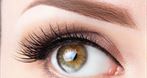 Lashes & brows Iryna Ruda