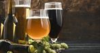 Beer Masters Importer i dstrybutor piw zagranicznych