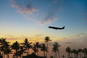 wakacje wylot samolotem, Hanna Krynicka, Marki