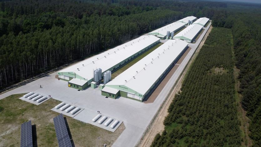 Budowa hal stalowych, Unostal Spółka z ograniczoną odpowiedzialnością, Żelków-Kolonia