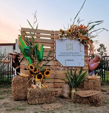 wynajem, transport i montaż mebli z palet, oświetlenia, roślin, Siedze na palecie - Eko Aranżacje Eventowe, Lesznowola