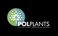 Pol-Plants Szkółka drzew i krzewów ozdobnych Kamil Dudek, Mogielnica