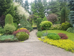 szkółka roślin, Hortus Robak Olga, Karlusin