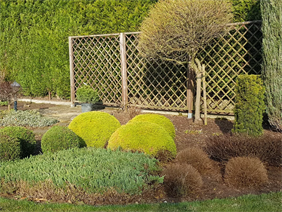 sprzedaż roślin, Hortus Robak Olga, Karlusin