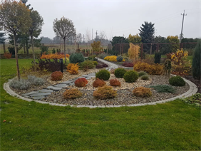 rośliny ozdobne, Hortus Robak Olga, Karlusin