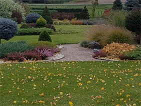 drzewa ozdobne, Hortus Robak Olga, Karlusin