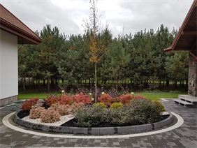 byliny ozdobne, Hortus Robak Olga, Karlusin