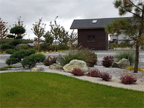 trawy ozdobne, Hortus Robak Olga, Karlusin