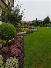 sadzonki roślin, Hortus Robak Olga, Karlusin