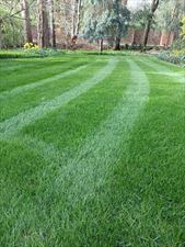 trawnik, Roll-Traw Gospodarstwo rolne Krzysztof Prończuk, Warszawa