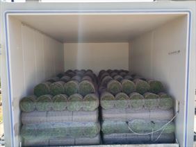 transport trawników, Roll-Traw Gospodarstwo rolne Krzysztof Prończuk, Warszawa