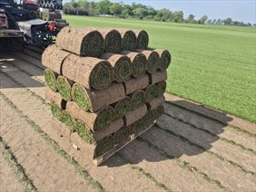 trawniki z rolki, Roll-Traw Gospodarstwo rolne Krzysztof Prończuk, Warszawa