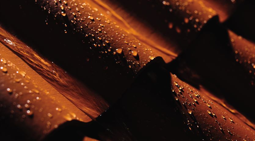 przyjazna Dachy - materiały, pokrycia dachowe, Cetonit Iwona Wróbel, Popielów