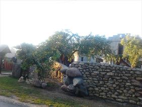 agro noclegi, Agroturystyka Pod Lasem, Bogacka Szklarnia