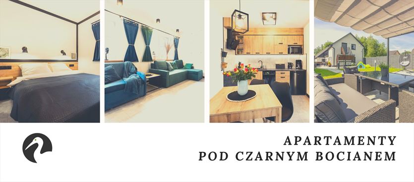 Noclegi w komfortowym apartamencie z ogrodem, Pod Czarnym Bocianem, Kudowa Zdrój