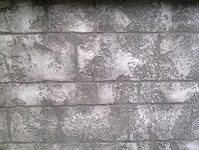 tynk ozdobny, Dortex Materiały Elewacyjne, Renowacyjne Farby, Tynki, Ocieplenia, Kłodzko