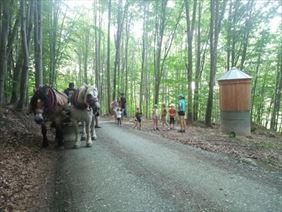 Zagroda Studzienno, Zagroda Studzienno, Studzienno