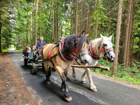 Zagroda Studzienno, Zagroda Studzienno, Studzienno