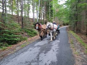 Zagroda Studzienno, Zagroda Studzienno, Studzienno