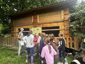 Zagroda Studzienno, Zagroda Studzienno, Studzienno