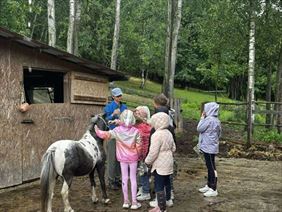 Zagroda Studzienno, Zagroda Studzienno, Studzienno