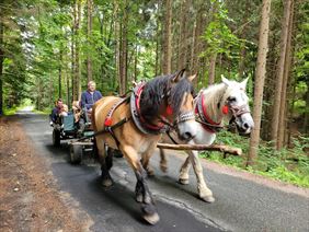 Zagroda Studzienno, Zagroda Studzienno, Studzienno