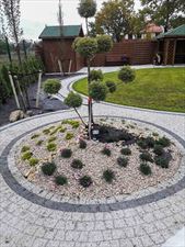 pielęgnacja ogrodów, Asist Ogrody Tomasz Obodyński, Wrocław