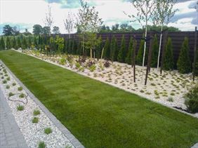 trawnik, Asist Ogrody Tomasz Obodyński, Wrocław