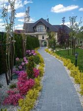 nasadzenia, Asist Ogrody Tomasz Obodyński, Wrocław