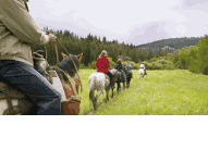 Pod Kasztanem Agroturystyka