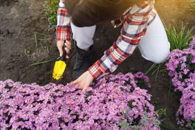 pielęgnacja ogrodu, Waldemar Gardocki Ogrody i Remonty, Siechnice