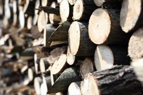 drewno kominkowe, Leszek Suchodolski Usługi Stolarskie, Rączka