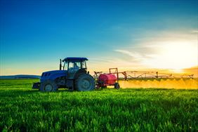 uprawa, Agro Kamil Bachusz, Wierzbno