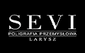 Sevi Larysz Florian Larysz, Opole
