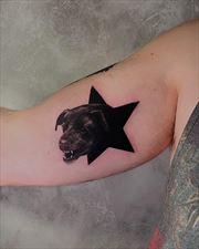 studio tatuażu, Studio Tatuażu Ink.fluence, Wrocław