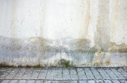 odgrzybianie murów budynku