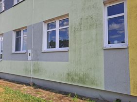 usługi czyszczenia, Para Pro Mechanik Jacek Wąsowicz, Nysa