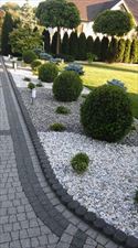 krzewy na kamyczkach, Bałys Ogrody, Stobrawa
