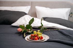 Apartament Kwintesencja Wygody, Ats Agnieszka Tyndyk-Styczek, Wrocław