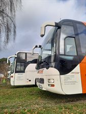 przewóz osób, Distrans, Myślina