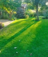 zakładanie trawników, Dziadek Tadek Tadeusz Wąs, Piękocin