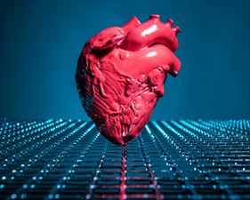 leczenie chorób serca, Nowickimedical Sp. z o.o. Gabinety Lekarskie - Lekarze Specjaliści, Tarnów Opolski