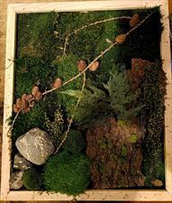 zielone dekoracje do salonu, LIRAVERDE Pracownia sztuki roślinnej, Polanica-Zdrój
