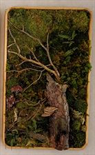obrazy roślinne handmade, LIRAVERDE Pracownia sztuki roślinnej, Polanica-Zdrój