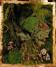 naturalne kompozycje florystyczne, LIRAVERDE Pracownia sztuki roślinnej, Polanica-Zdrój