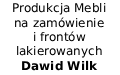 Produkcja Mebli na zamówienie i frontów lakierowanych Dawid Wilk , Nowy Dwór